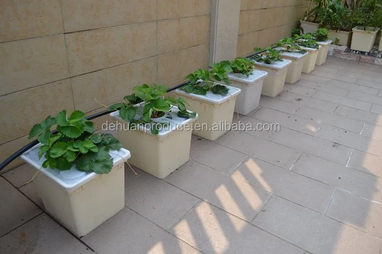 Dwc Hydroponic Growing System Dutch Buckets System Buy Dwc