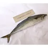 200-300G high quality seafood frozen fish mackerel