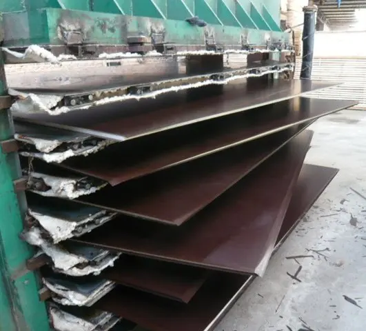 1270104602359_hz_fileserver1_1036314[1]