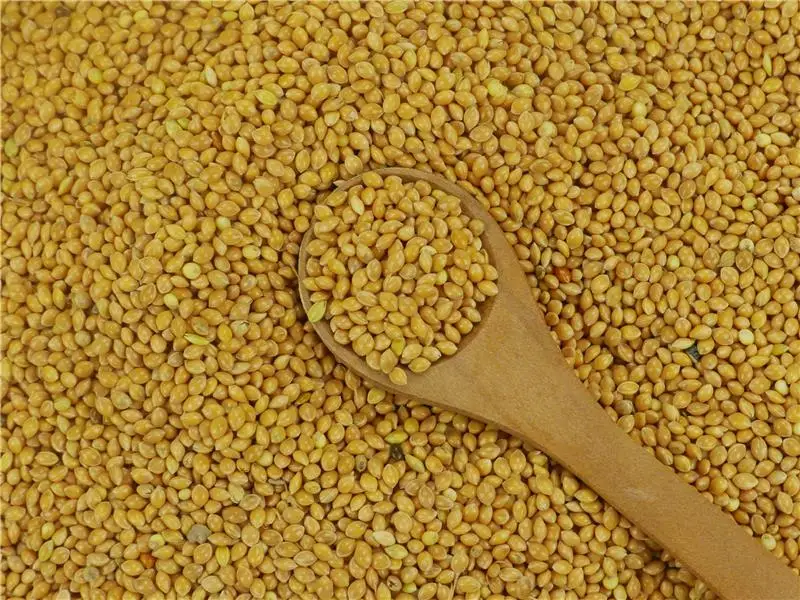 19191202326