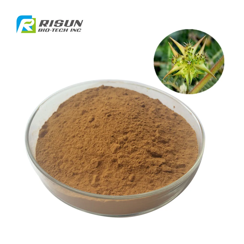 Good Quality Tribulus Terrestris Extract 20 Tribuloside Powder Buy