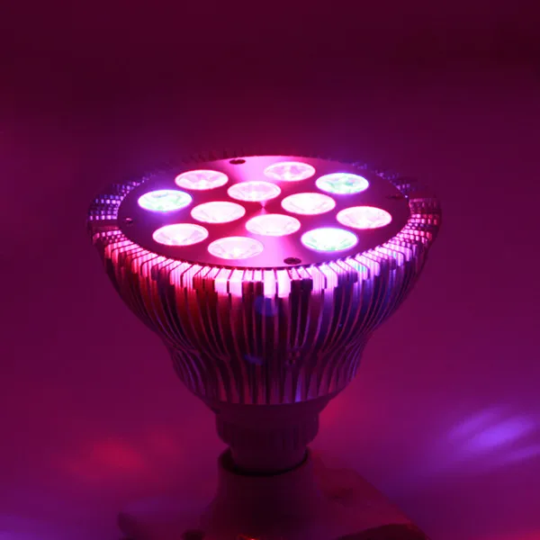 660nm 730nm red led grow light 36 watt , E27 led grow light with timers