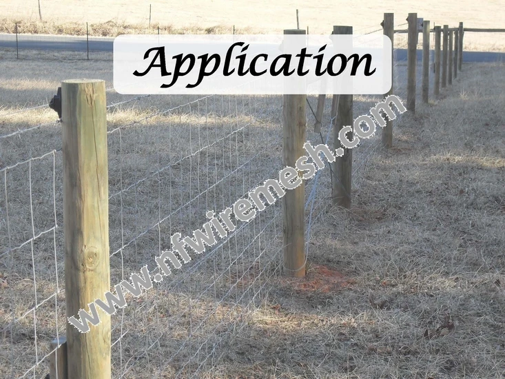 cattle fence (8).jpg