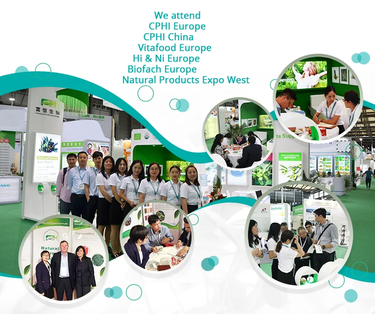 FocusHerb Exhibition.png