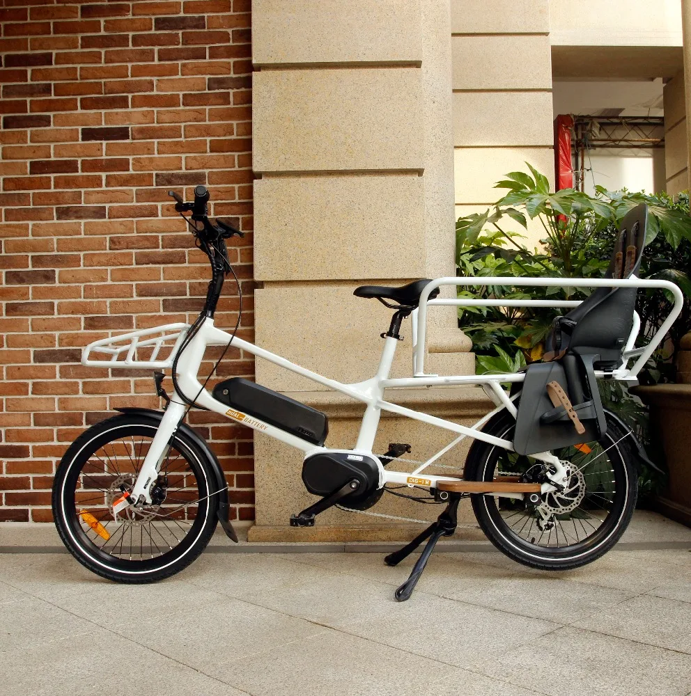 chinese cargo bike