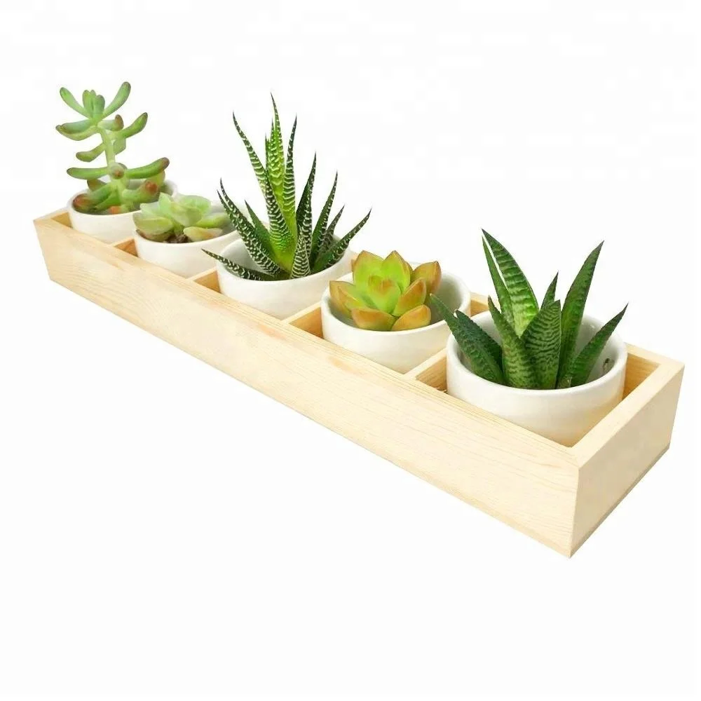 Wood Tray White Indoor Windowsill Herbs Container Buy Wooden