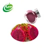 Free sample ISO certified dragon fruit powder
