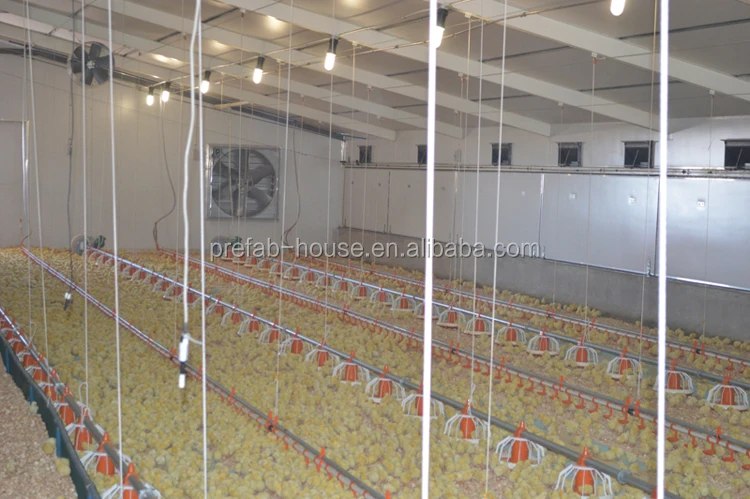 Industrial chicken house for sale, chicken house trusses for sale