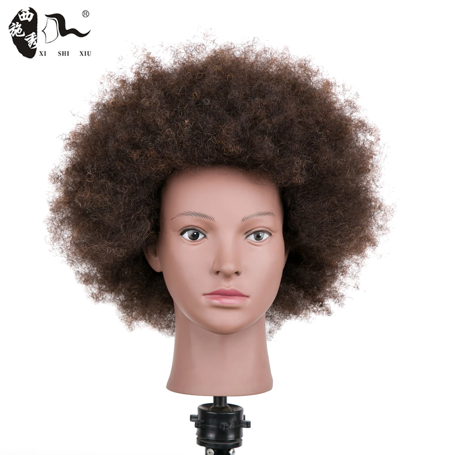 training mannequin head hair