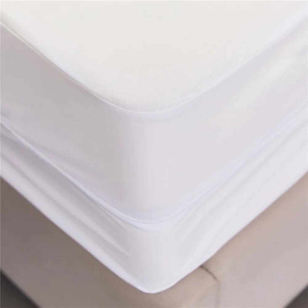 bed bug mattress