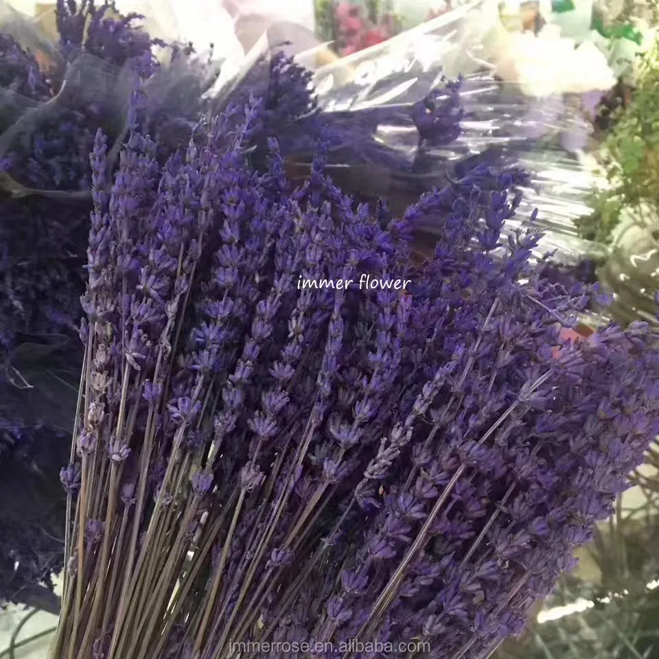 Dried Lavender Dry Flower Preserved Lavender Flower Buy Lavender Dry