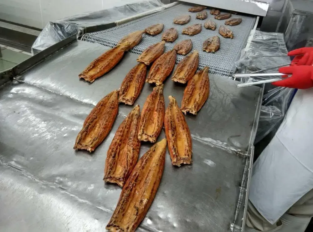 Frozen Roasted Eel Unagi Buy Glass Eel Live Eels,Frozen Roasted Eel