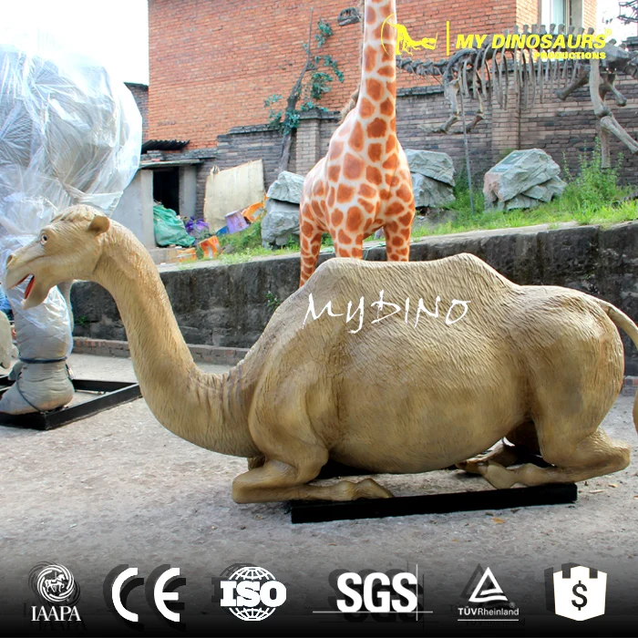 Camel animal.jpg