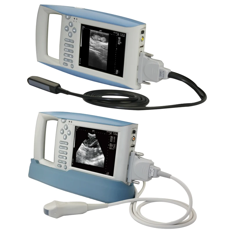 Bs-5100v Full Digital Handheld Portable B Veterinary/animal Ultrasound ...