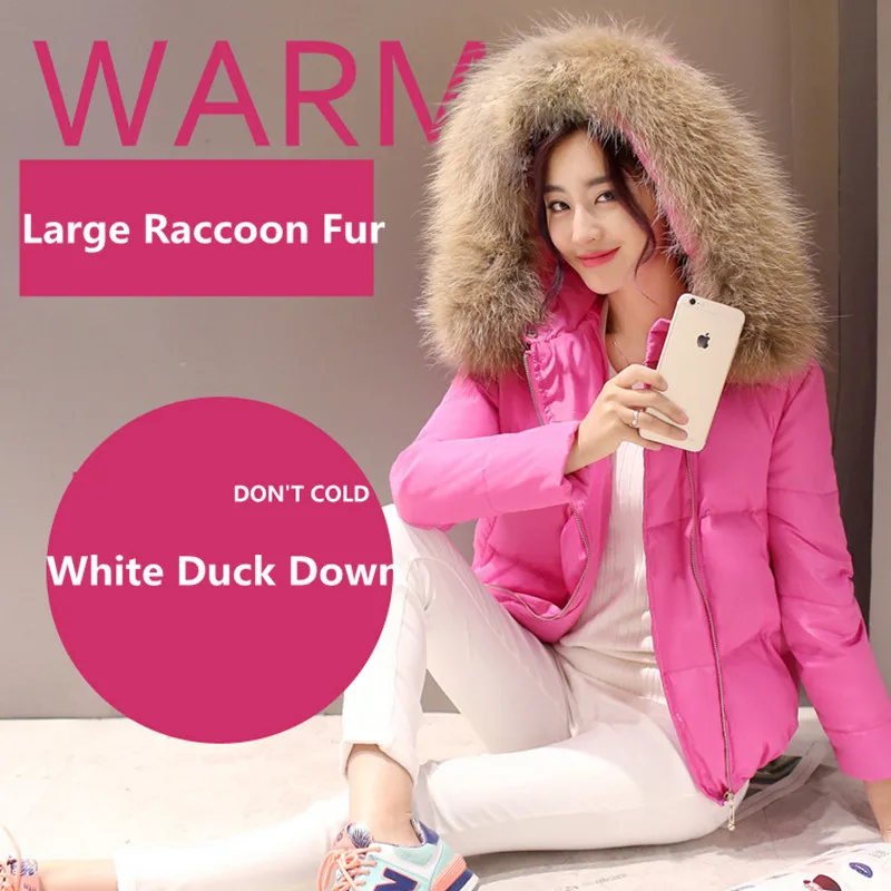Fashion New font b Winter b font Large Real Raccoon Fur Collar Women Down Coat Short