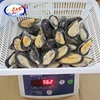 1Kg/Box packaging frozen meat in half shell with best price