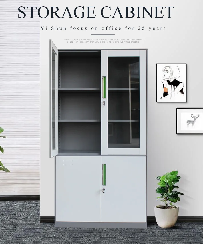 Profession Office Glass Door Steel Storage Cabinet Glass Front