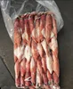 Block Frozen Indonesia Squid Scientic name of Todarodes Pacificus