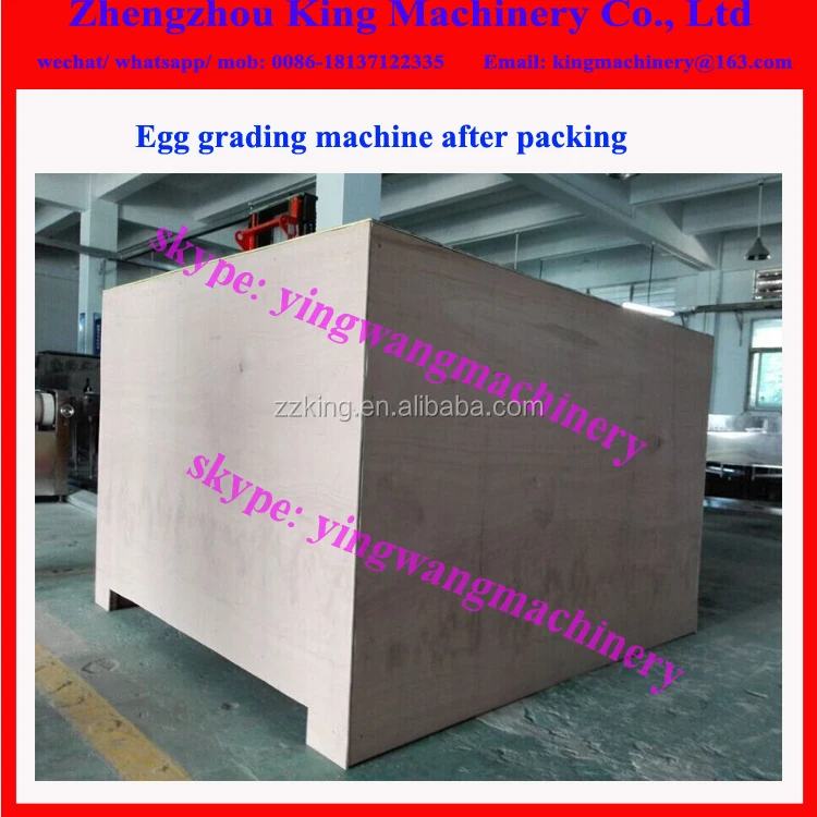 4 egg grading .jpg