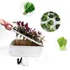 11 Holes Plant Site Hydroponic System Grow Kit Garden Soilless Cultivation Plant Seedling Grow Planters Nursery Pots