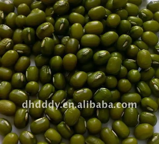
organic mung bean 
