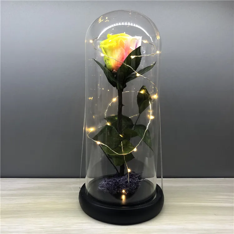 preserved rose flowers