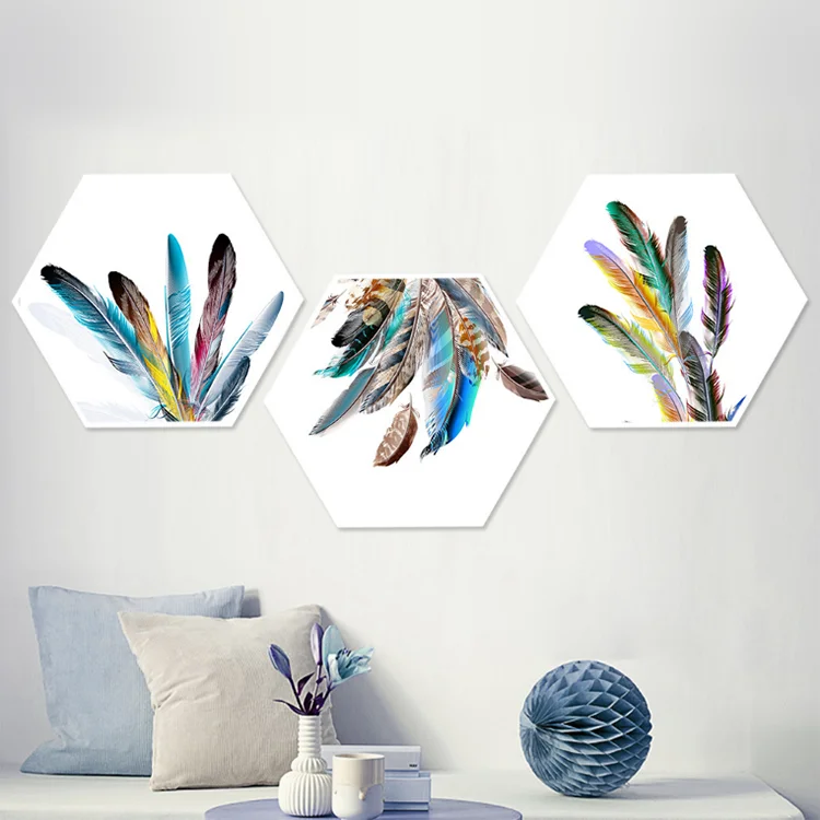 Hexagon Beautiful Colorful Feathers Canvas Oil Paintings 3 Pieces