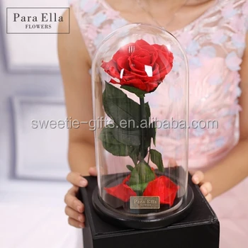 Hot S Natural Flower Last Year Preserved Rose In Gl Hot S Natural Flower Last Year Preserved Rose In Gl Dome Wholes