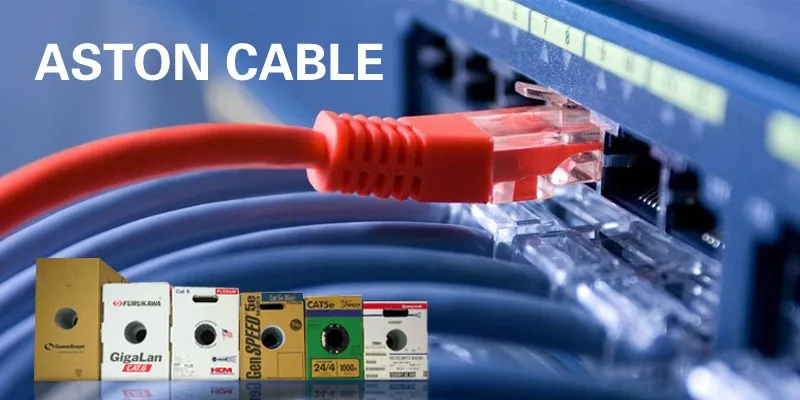 LAN Cable 3.jpg