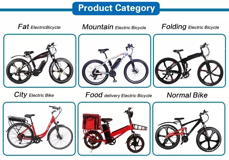 electric bicycle.jpg