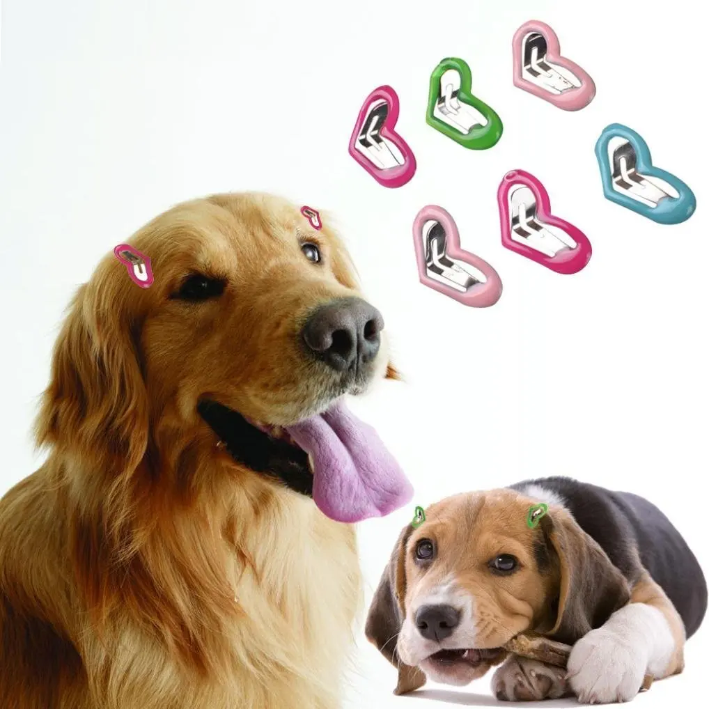 Cheap Puppy Hair Clips, find Puppy Hair Clips deals on line at