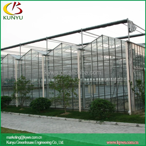 Sawtooth Type Greenhouse Glazing Materials Glass Rooftop Greenhouse