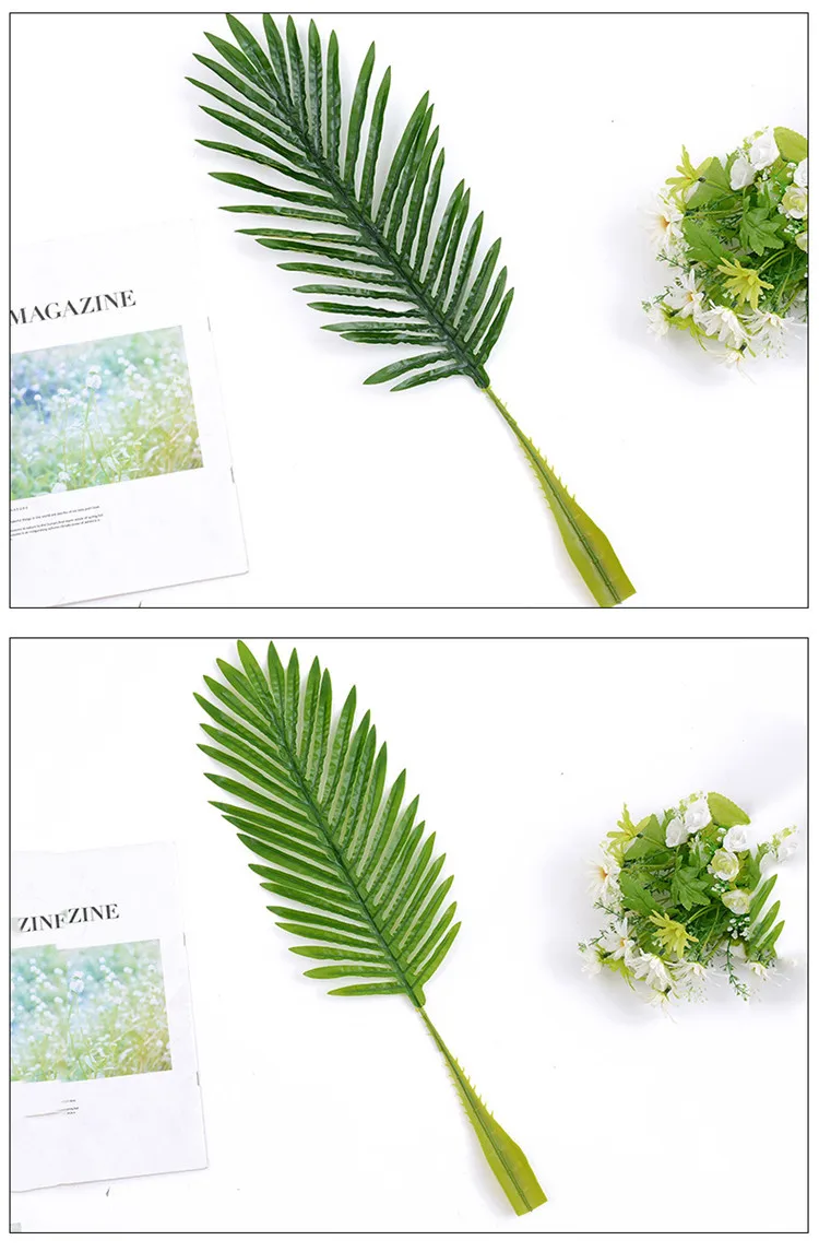 palm leaf (6).jpg