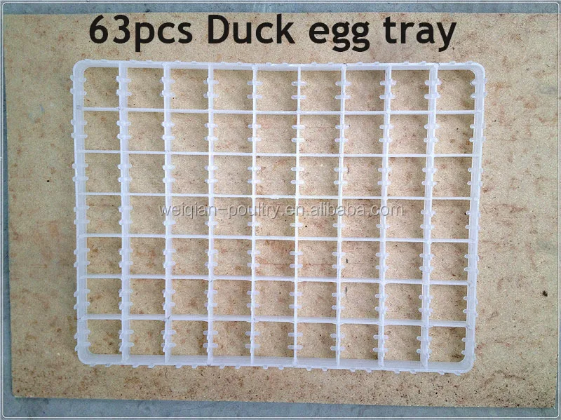 221eggs Quail Egg Tray For Incubator Buy 221eggs Quail Egg Tray,Quail