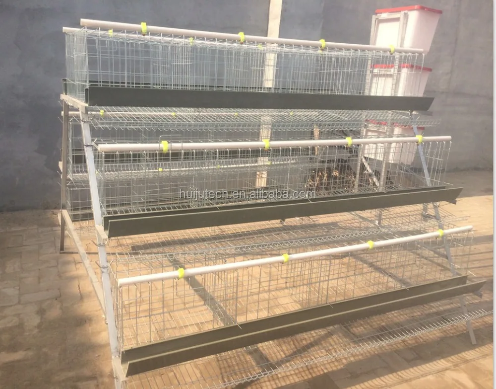 packaging philippines machine in supplier Hot In For Cage Philippines/chicken Sale Sale Chicken