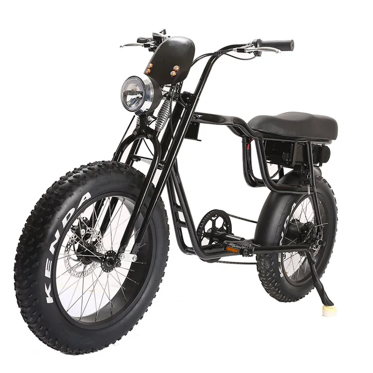 Fat Tire Pedal Assist Adult Utility Bike Electric Two Seat Bicycle With ...