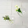 Heart-shaped hanging clear vase glass flower basket