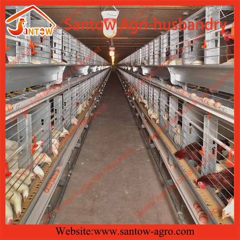 Entièrement Automatique Construire Poulaillerscages De Batterie Poules Pondeusescage à Poulet Pour Ferme Avicole Buy Cages De Poulet De