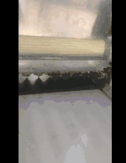 soogif5.jpg