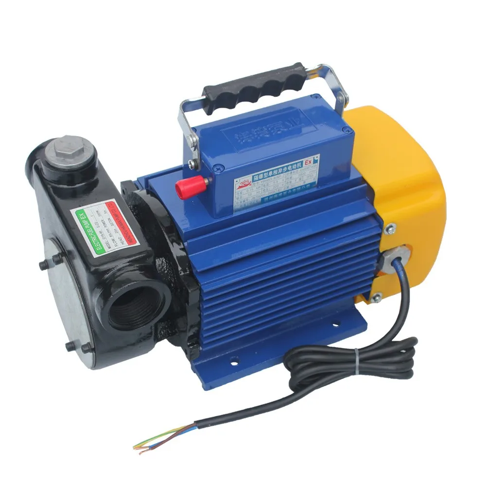 Dyb80 220v Electric Transfer Oil Pump Ex-unit With Flow Meter - Buy ...