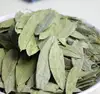 Fan xie ye Natural dried green color wild FOLIUM SENNAE Senna for sale