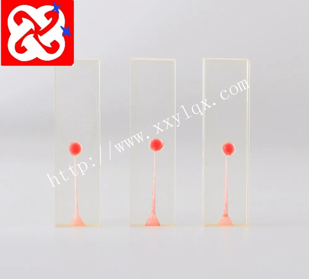 Root Canal Endo Training Block Practice Dental Block Buy Endo