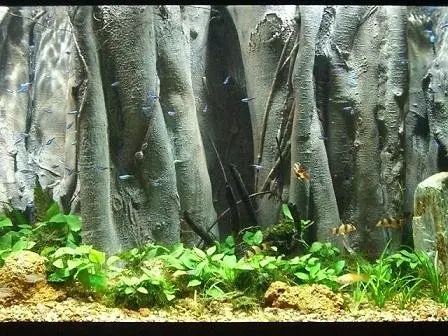 Unduh 8400 Koleksi Background Aquarium 3D Gratis Terbaru