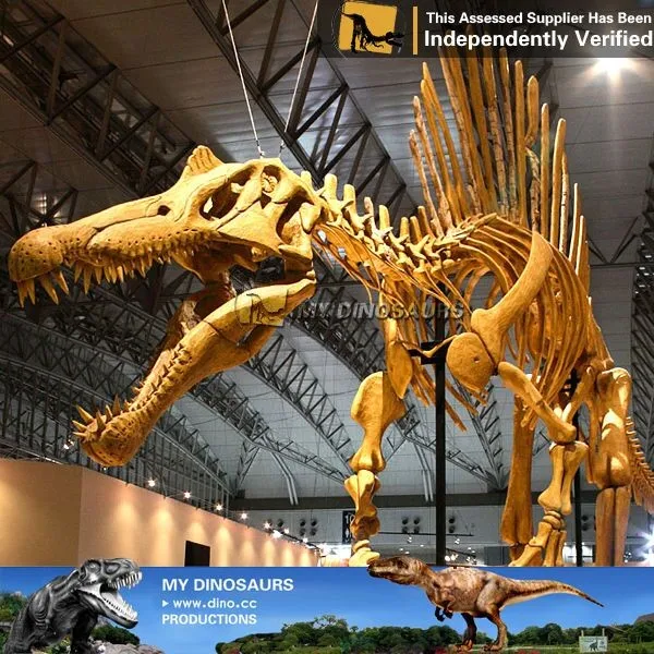 spinosaurus skeleton museum