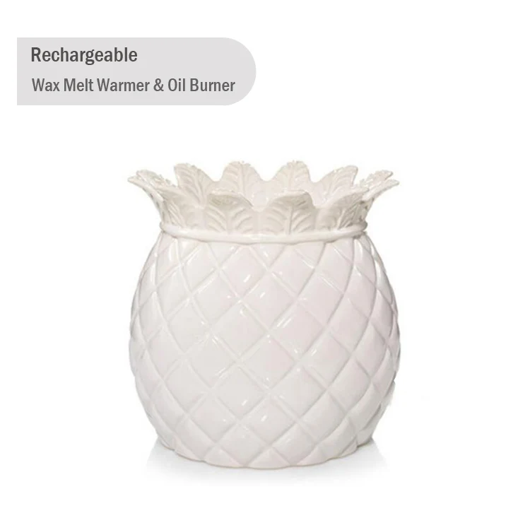 Customizing Electric Essential Oil Burner No Spilling Wax Melt Warmer