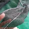 Polyethylene screen plastic fly screen pe insect proof net
