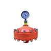dosing metering pump PVC PVDF Stainless steel pulse damper