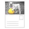 Wholesale PET 3d depth lenticular postcard