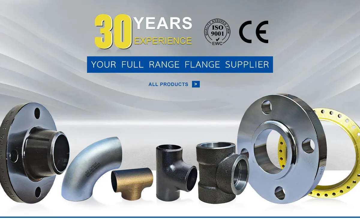 Hebei Xinfeng HighPressure Flange And Pipe Fitting Co., Ltd. flange