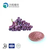 100% Pure Natural Green Healthy Grape Seed Extract/ Best Proanthocyanidin Powder